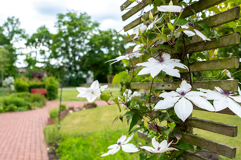 Gartenliebe
